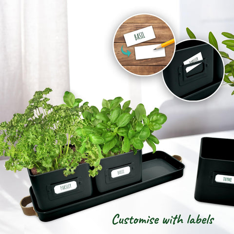 Volila window sill display with three black herb pots