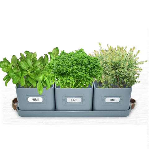Volila window-sill herb planters invite fresh aromas to meals