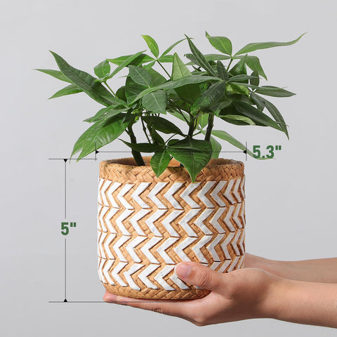 vomiceak planter with removable plug preserves soil moisture after watering