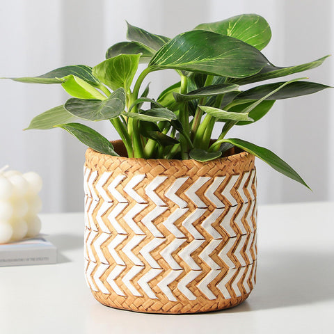 vomiceak concrete rattan-style planter close-up showing 5in diameter for small plants