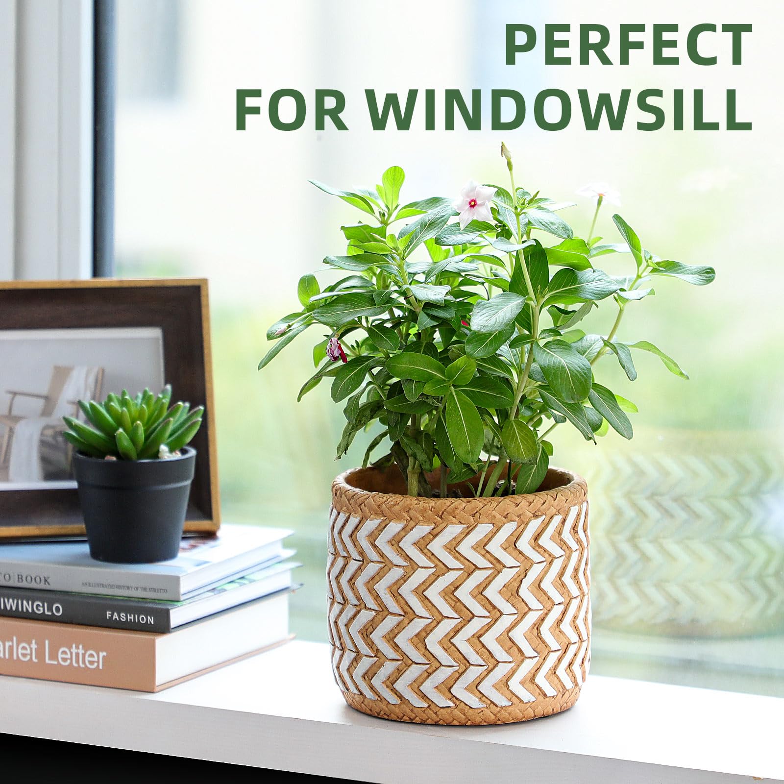 vomiceak gift-ready plant pot for plant lovers