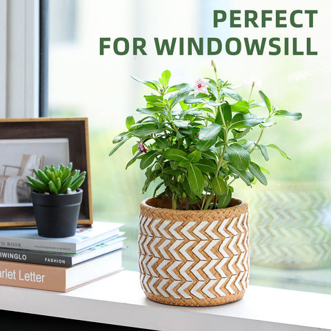 vomiceak gift-ready plant pot for plant lovers