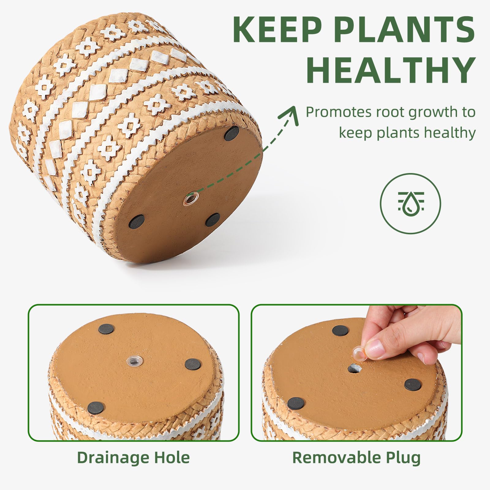 vomiceak gift-ready packaging image for an exquisite plant lover present.