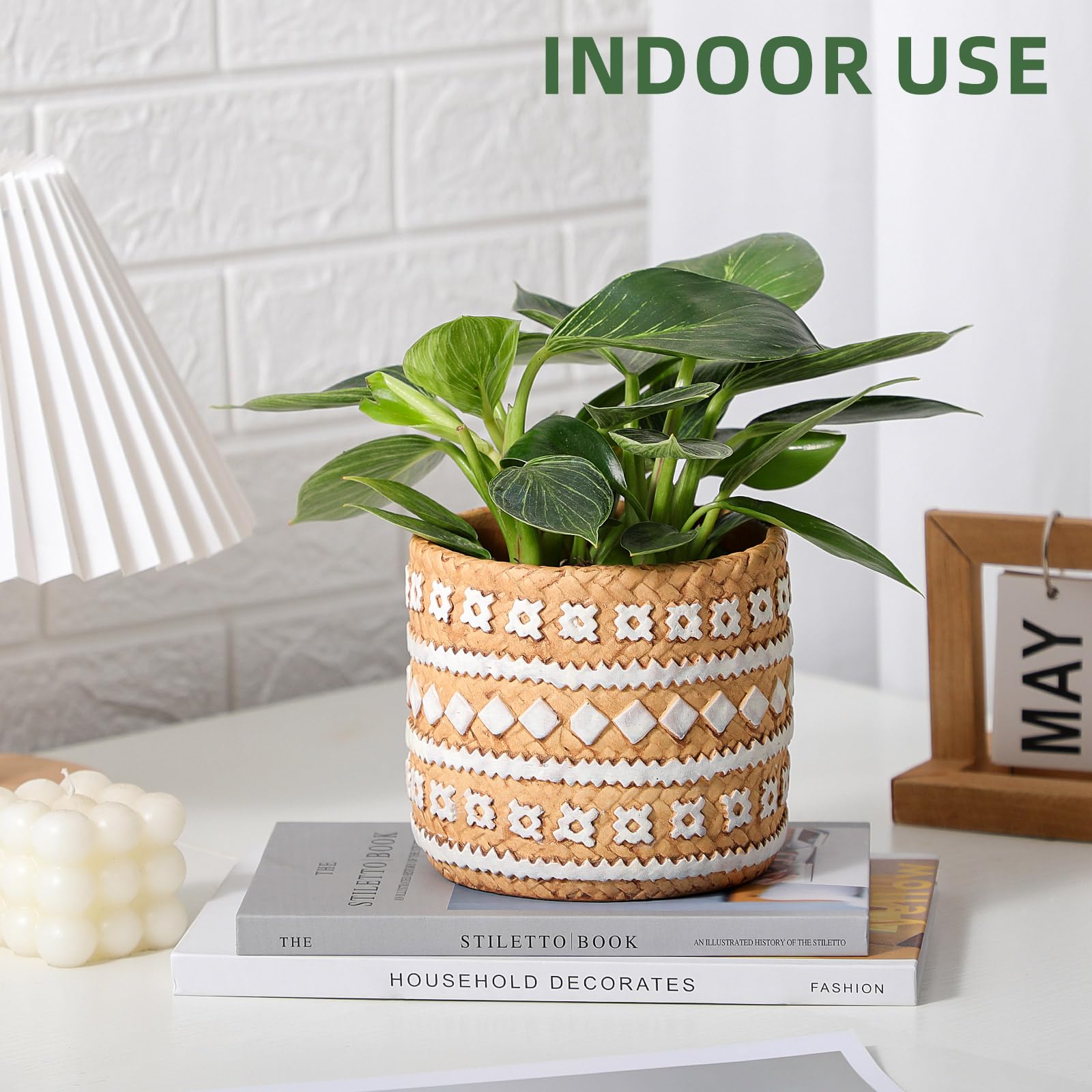 vomiceak succulent planting idea with this sturdy concrete planter.