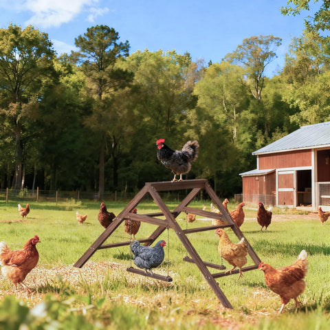 Vorhomness backyard-coop-accessories highlights practical backyard coop versatility