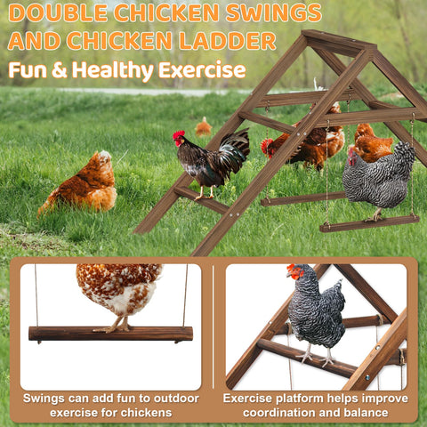 Vorhomness dual swings provide interactive play for curious hens