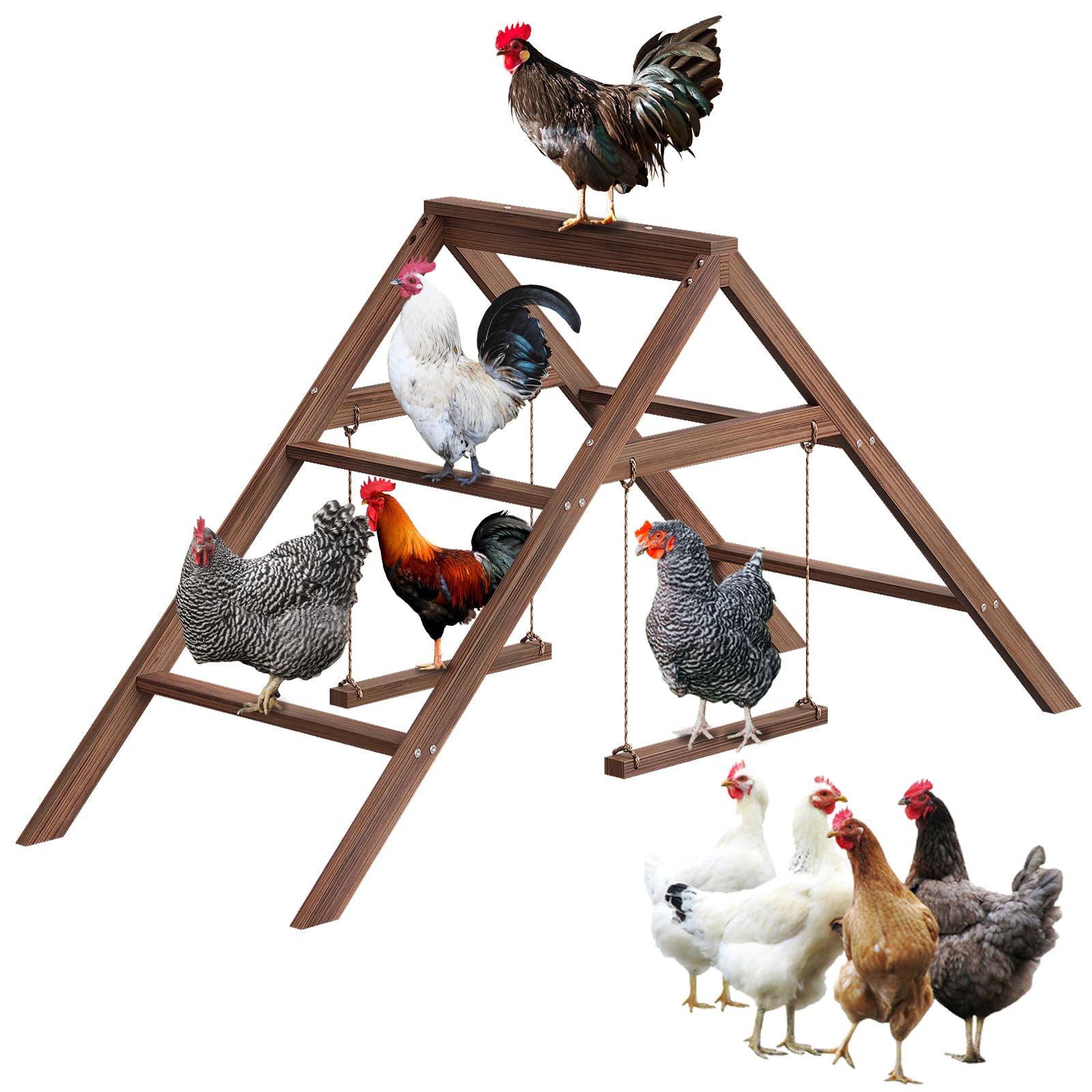 Vorhomness large chicken perch assembly view shows a spacious roost for 10-12 birds