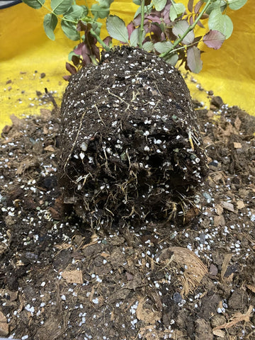 Voulosimi 20QT perlite home garden usage demonstrates versatility.