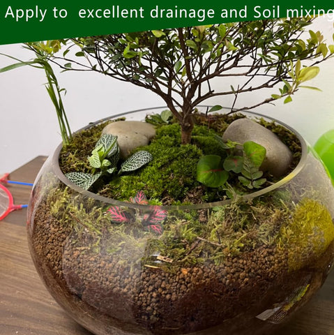 Voulosimi Akadama in a pot shows balanced drainage and aeration for roots