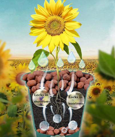 Voulosimi orchid-friendly hydroponics use with clay pebbles for stable moisture.
