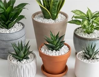 Voulosimi perlite packaging on shelf signals clean and decorative horticultural amendment.