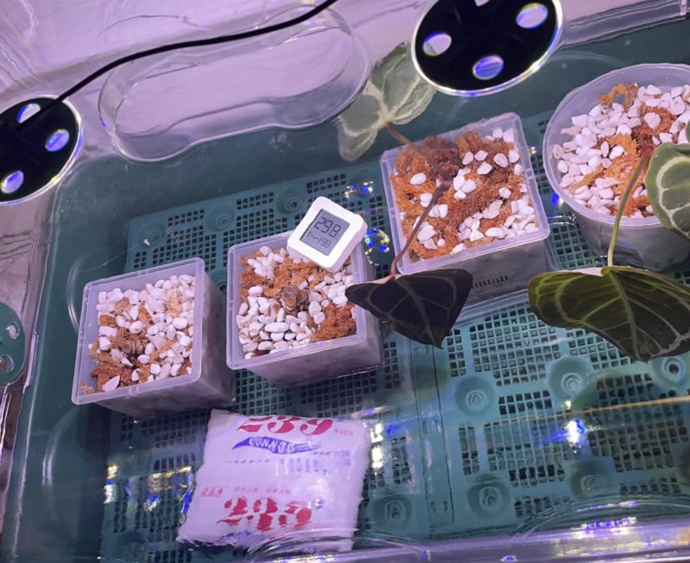 Voulosimi organic perlite image highlights lightweight, inert garden amendment.