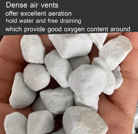 Voulosimi perlite around plant roots promoting improved soil aeration.