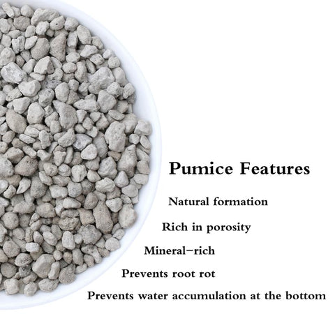 Voulosimi pumice rock vase filler adds texture and moisture control.