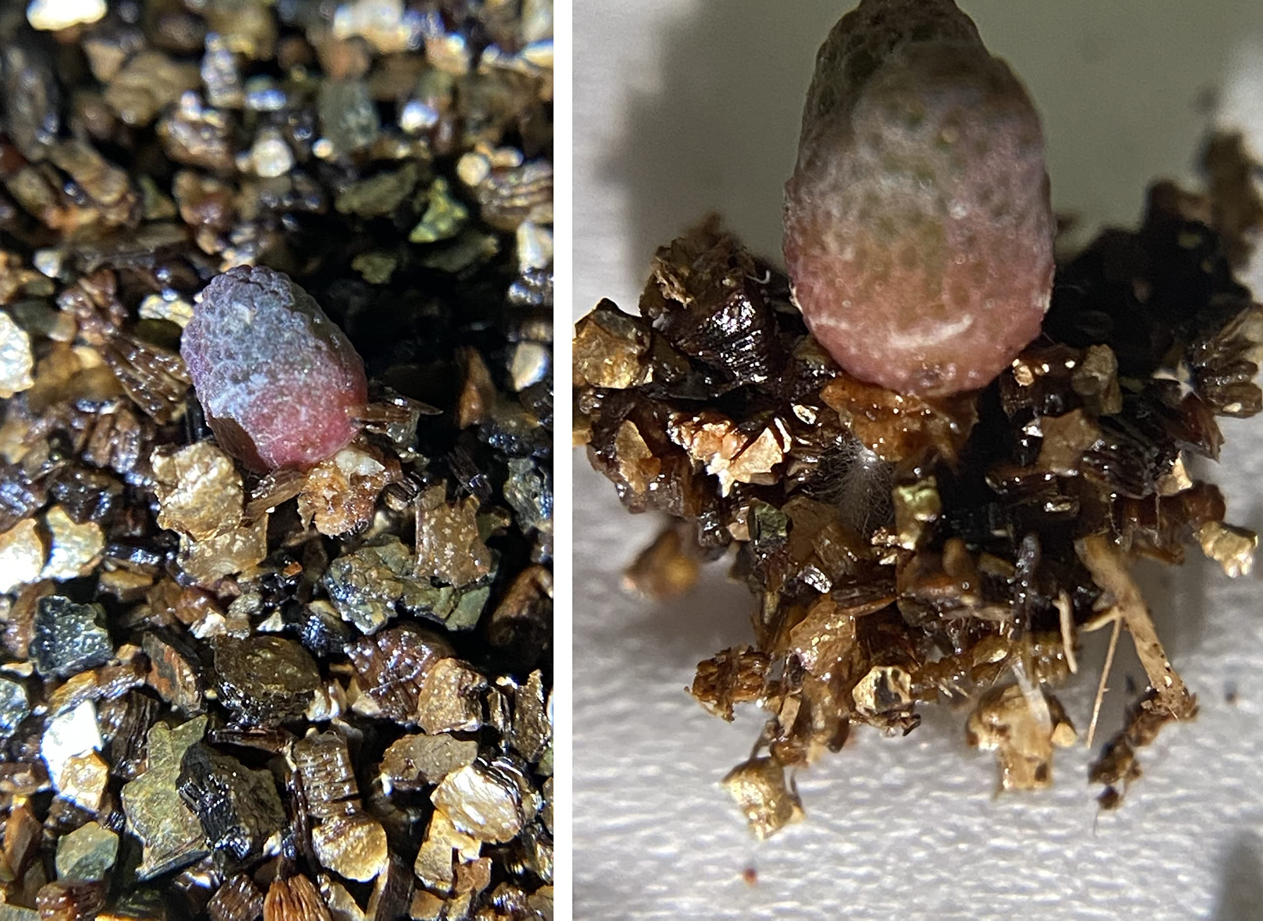 Voulosimi organic vermiculite is odorless and non-toxic for safe soil blends.
