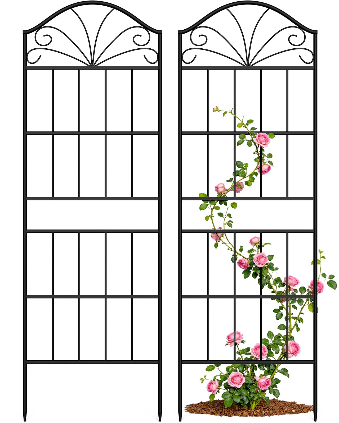 VOXOR metal trellis outdoors with 60-inch height supports climbing roses and vines.