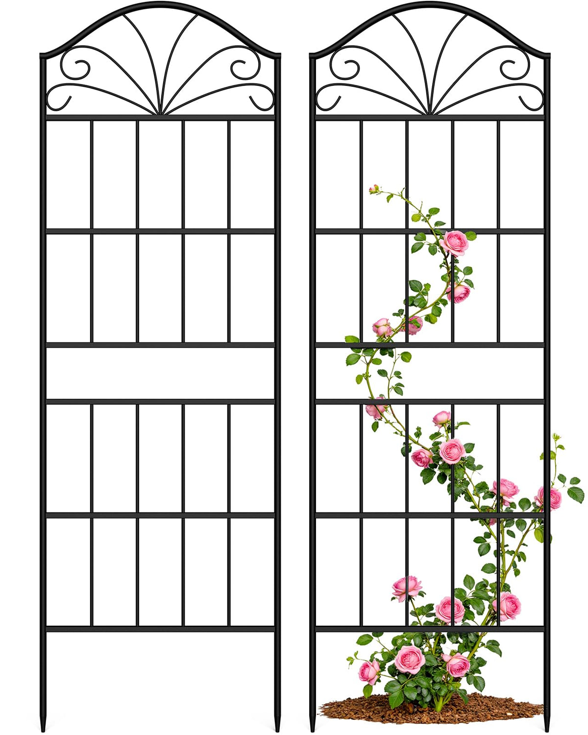 VOXOR metal trellis outdoors with 60-inch height supports climbing roses and vines.