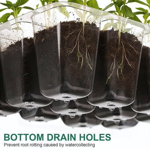 VPQZUPG base tray with labels and tools supports neat seed organization and planting prep.