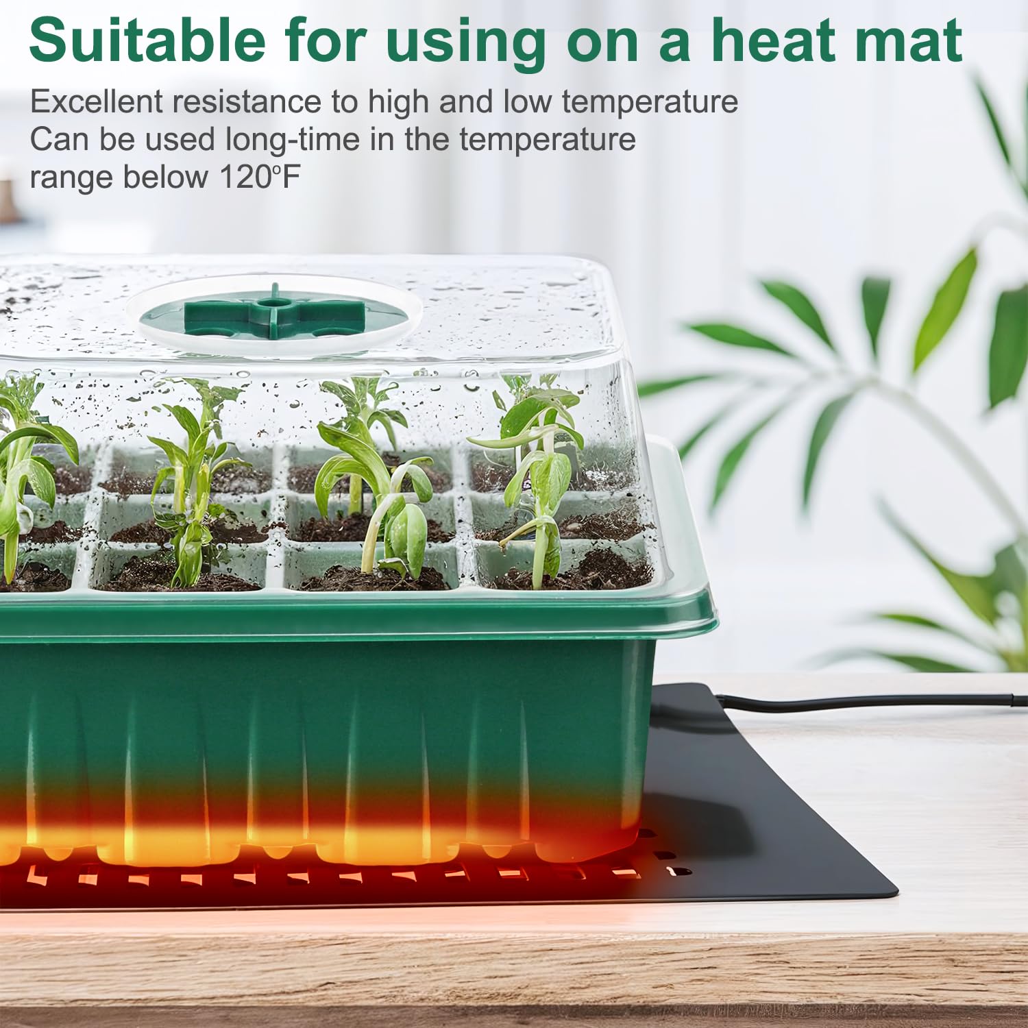 VPQZUPG complete seed starting kit includes everything you need for a hassle-free start.