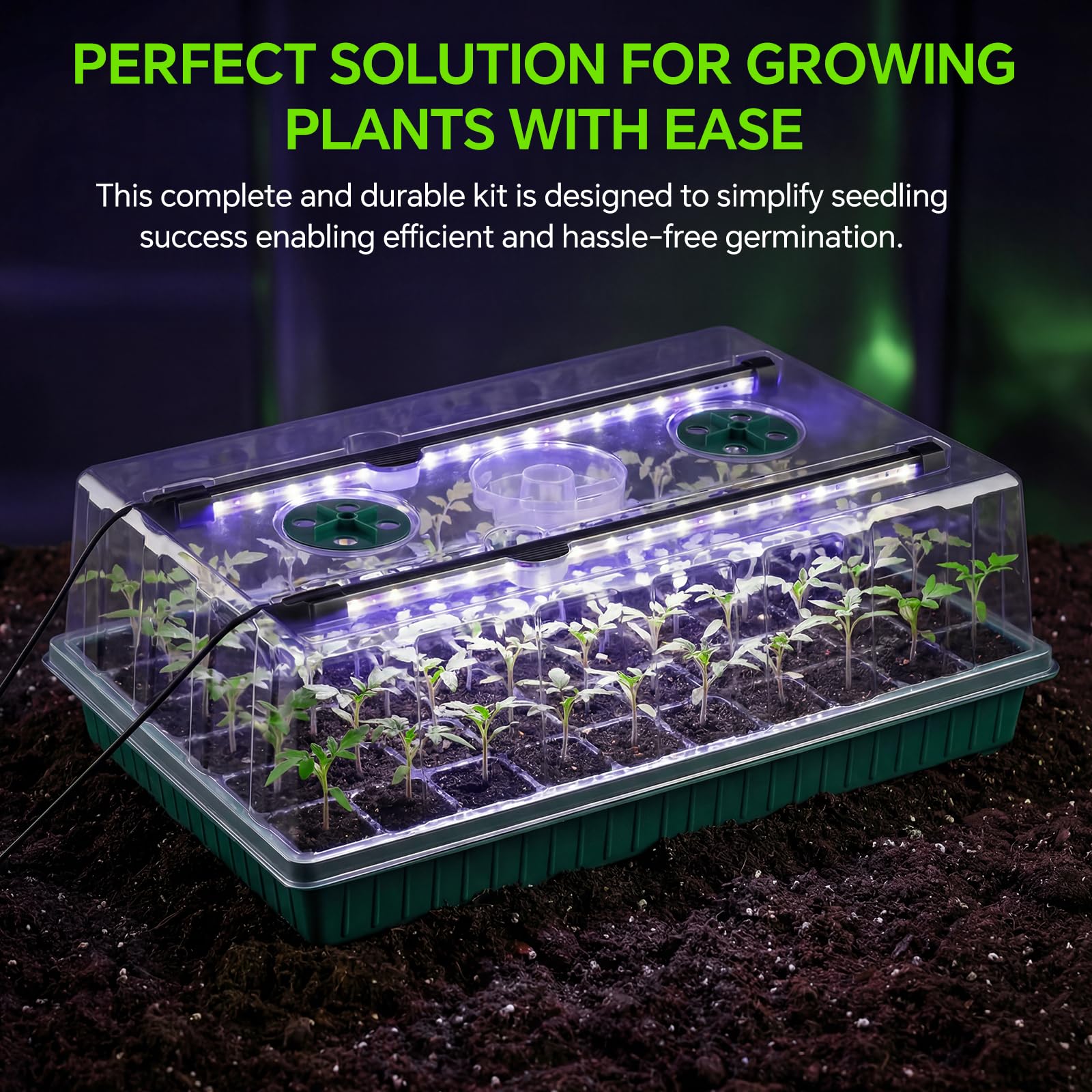 VPQZUPG LED grow lights illuminate seedlings for faster growth