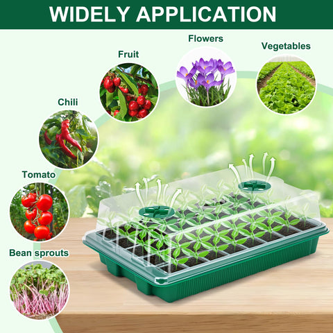 VPQZUPG plant germination trays offer clear visibility during early growth.