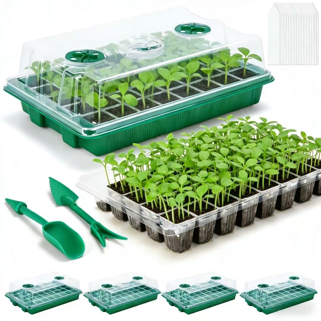 VPQZUPG seed starter tray with 200 cells enables efficient germination for many seeds.