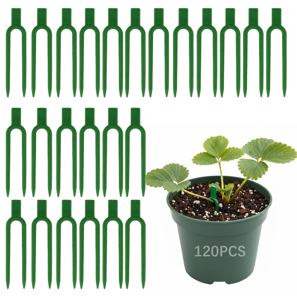 VPWHY strawberry pin plant support secures runners for stable rooting without damage.