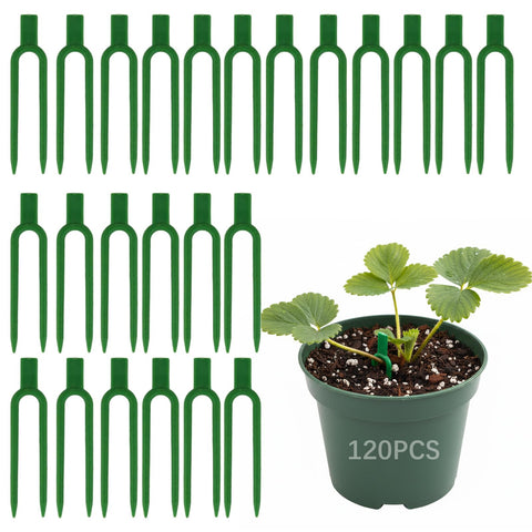 VPWHY strawberry pin plant support secures runners for stable rooting without damage.