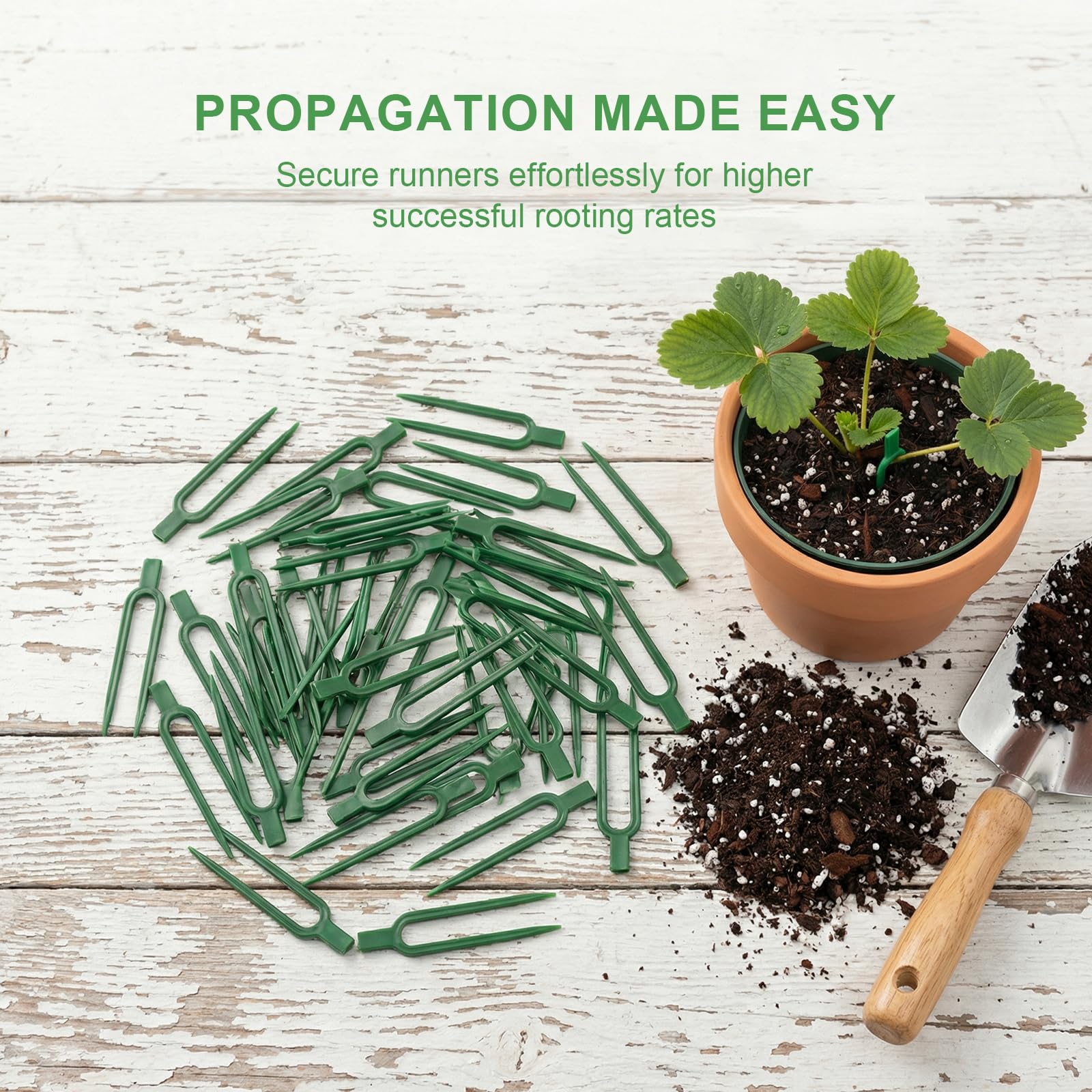 VPWHY U-shaped anchor clip placed in soil stabilizes young plants during rooting.