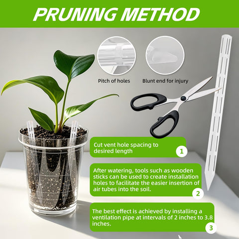 VR8 YuanNuo plant health visualization emphasizes airflow improving soil balance