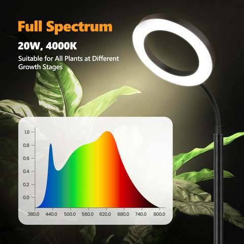 Vsoke Grow Light at 63-inch height covers tall plants like monstera and fiddle leaf fig