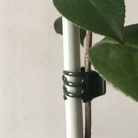 Vtete clips attach small lights to wreaths securely.