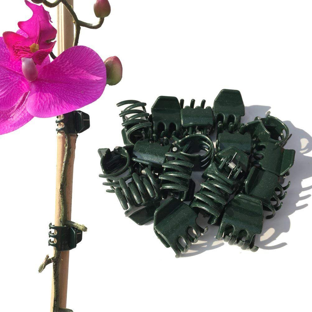 Vtete orchid clips secure a stem to a stake with gentle grip.