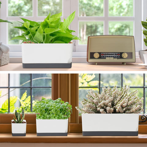 Vugosson planters with colorful saucers for decorative contrast