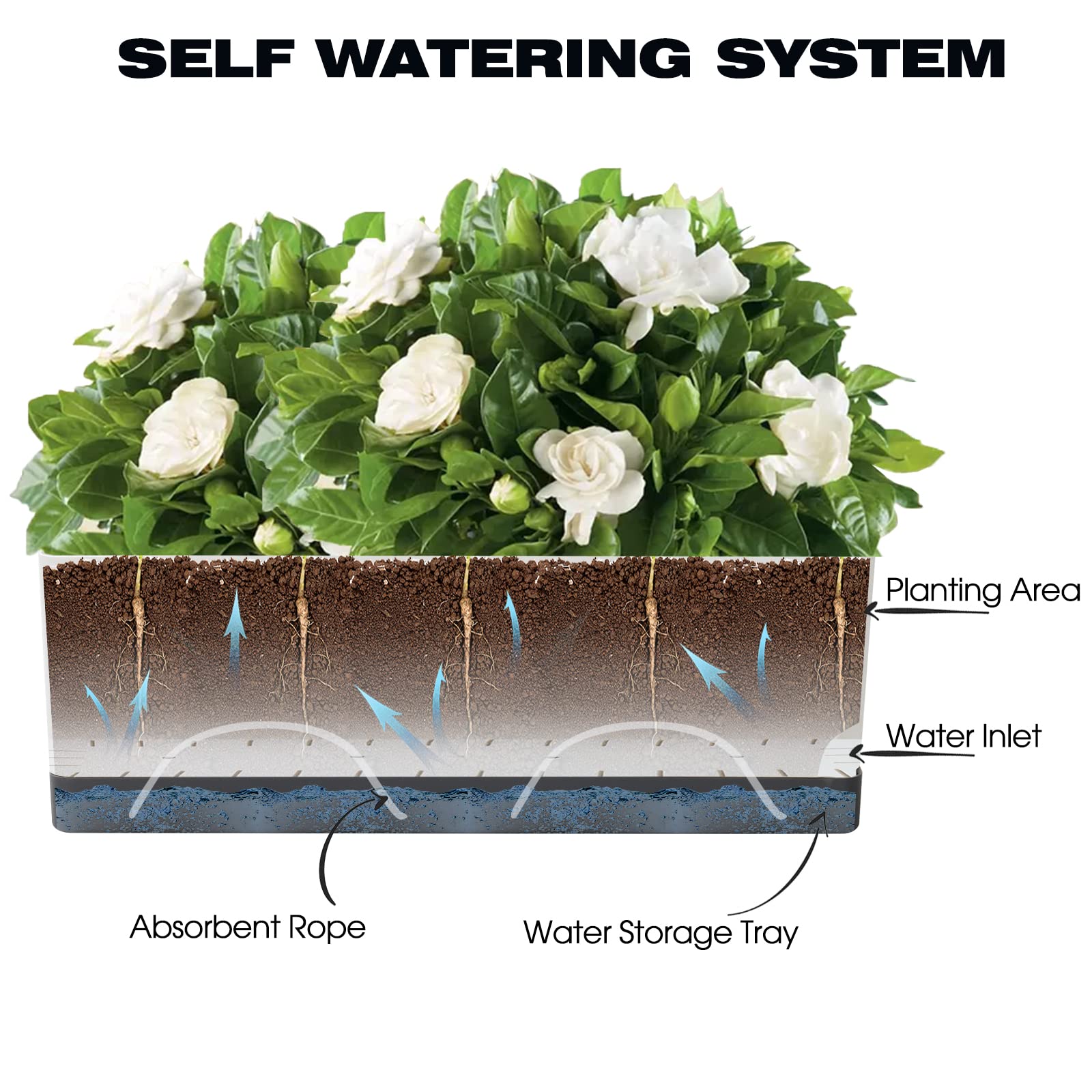 Vugosson self watering planter 8 inch medium for herbs and greens