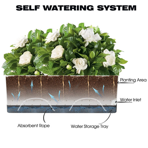 Vugosson self watering planter 8 inch medium for herbs and greens