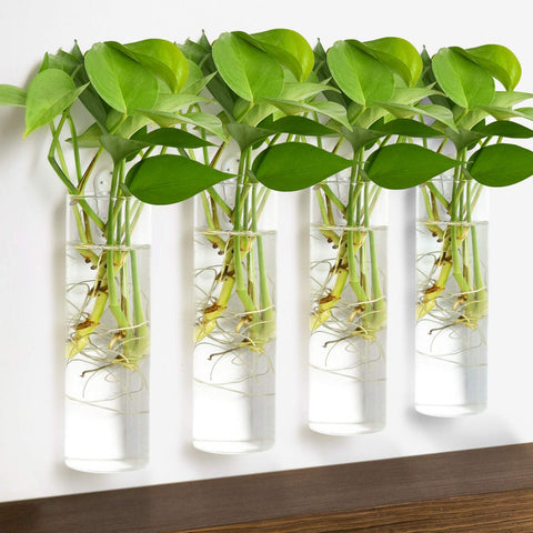 Vumdua gift-ready planter set for gardeners and plant lovers.