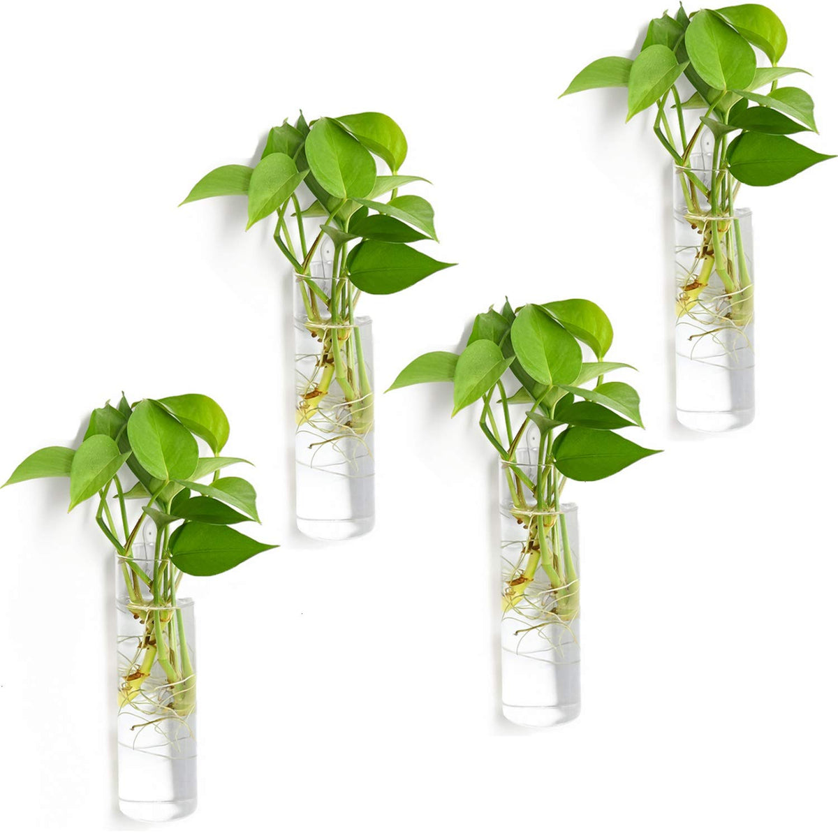 Vumdua glass planter 4-pack with cylindrical design for clear water plant growth.