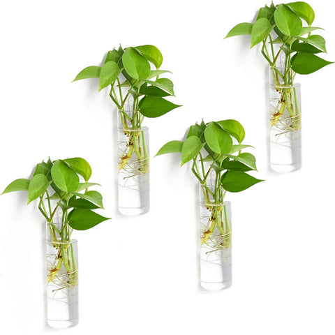 Vumdua glass planter 4-pack with cylindrical design for clear water plant growth.