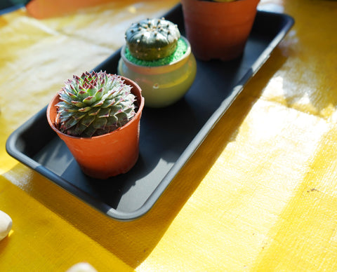 VUWEZ easy-clean tray resists moisture and wear.