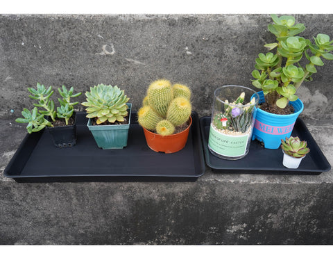 VUWEZ outer 11 by 9 inch tray complements modern planters.