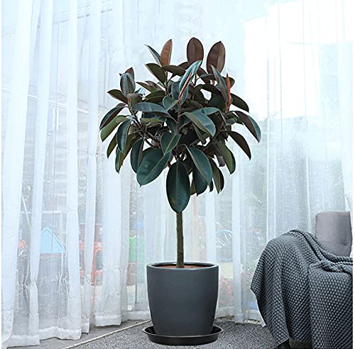 VUWEZ indoors-outdoors usage demonstrates versatile placement options
