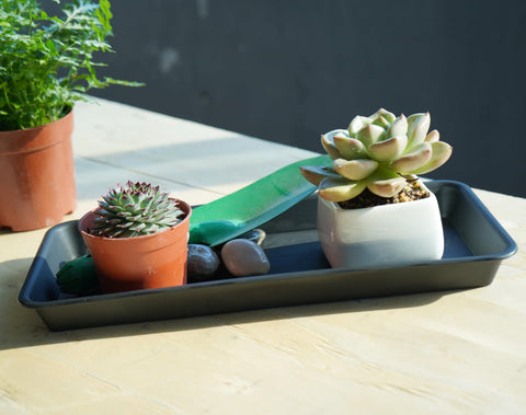 VUWEZ plant saucer protects floors from excess watering.