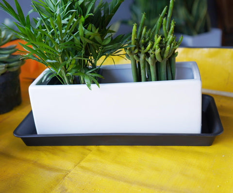 VUWEZ rectangular plant tray fits most 10-inch pots