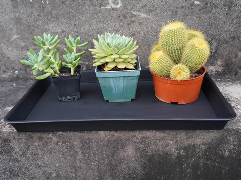VUWEZ water-drainage tray for pots keeps drips contained