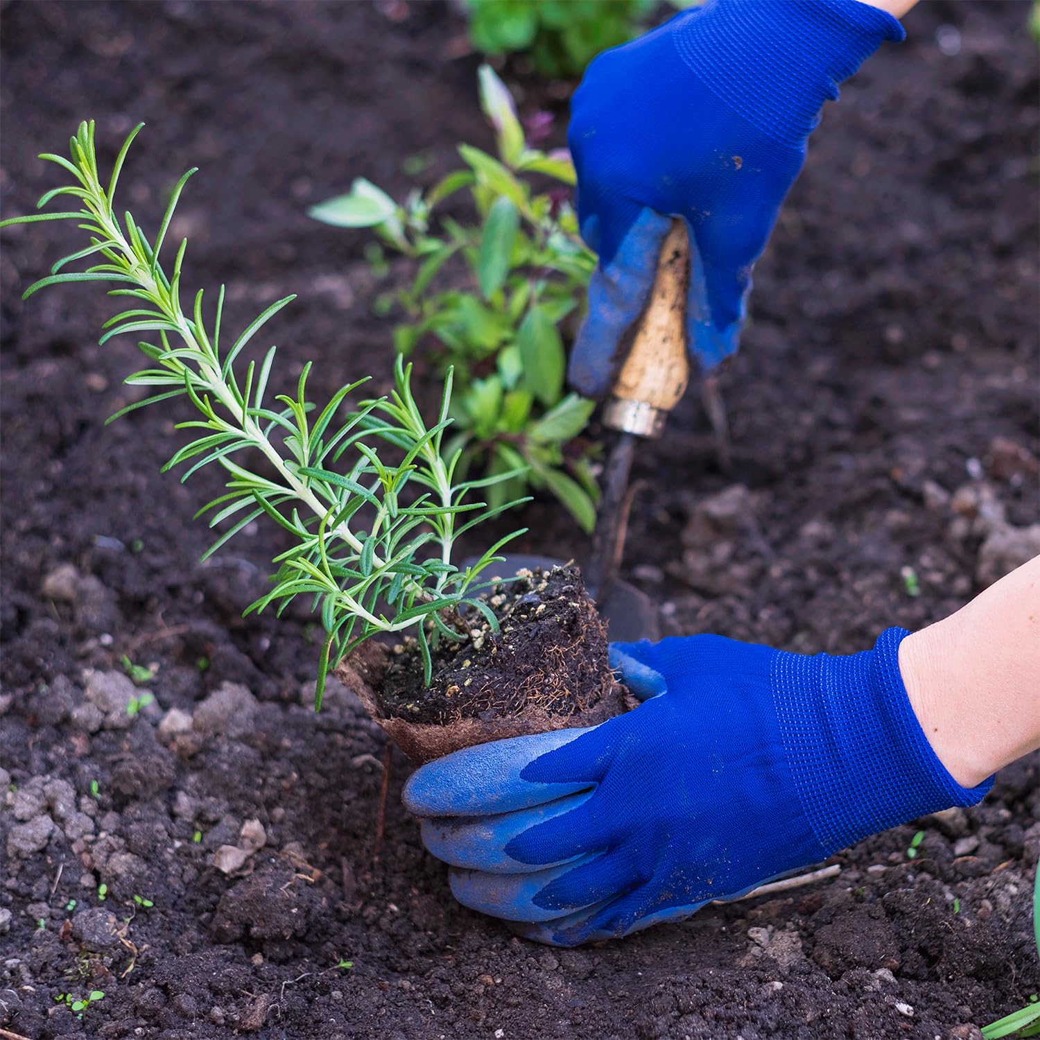 vwpvdeeg drainage holes prevent waterlogging, supporting root-friendly moisture