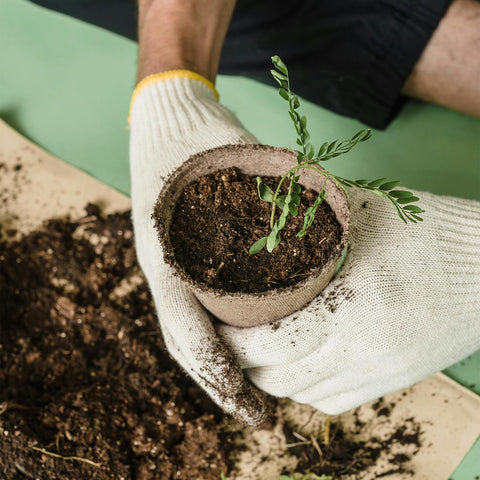 VWPVDEEG pot shows drainage holes for healthy moisture balance