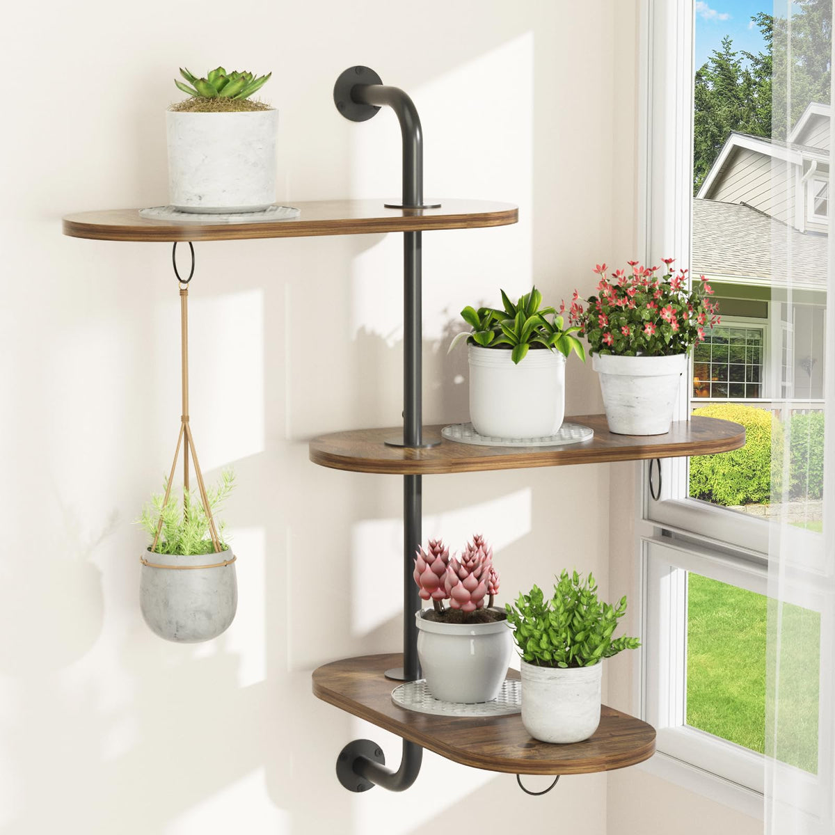 VyGrow rotating window plant shelf assembly shows easy setup for sun-loving plants