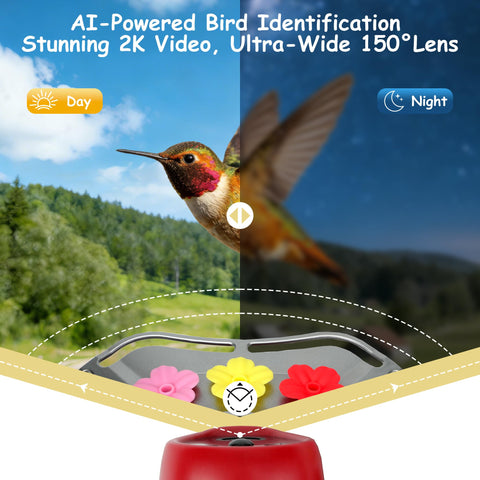 Vyojasharc water quality and nectar level monitoring keeps feeding fresh.