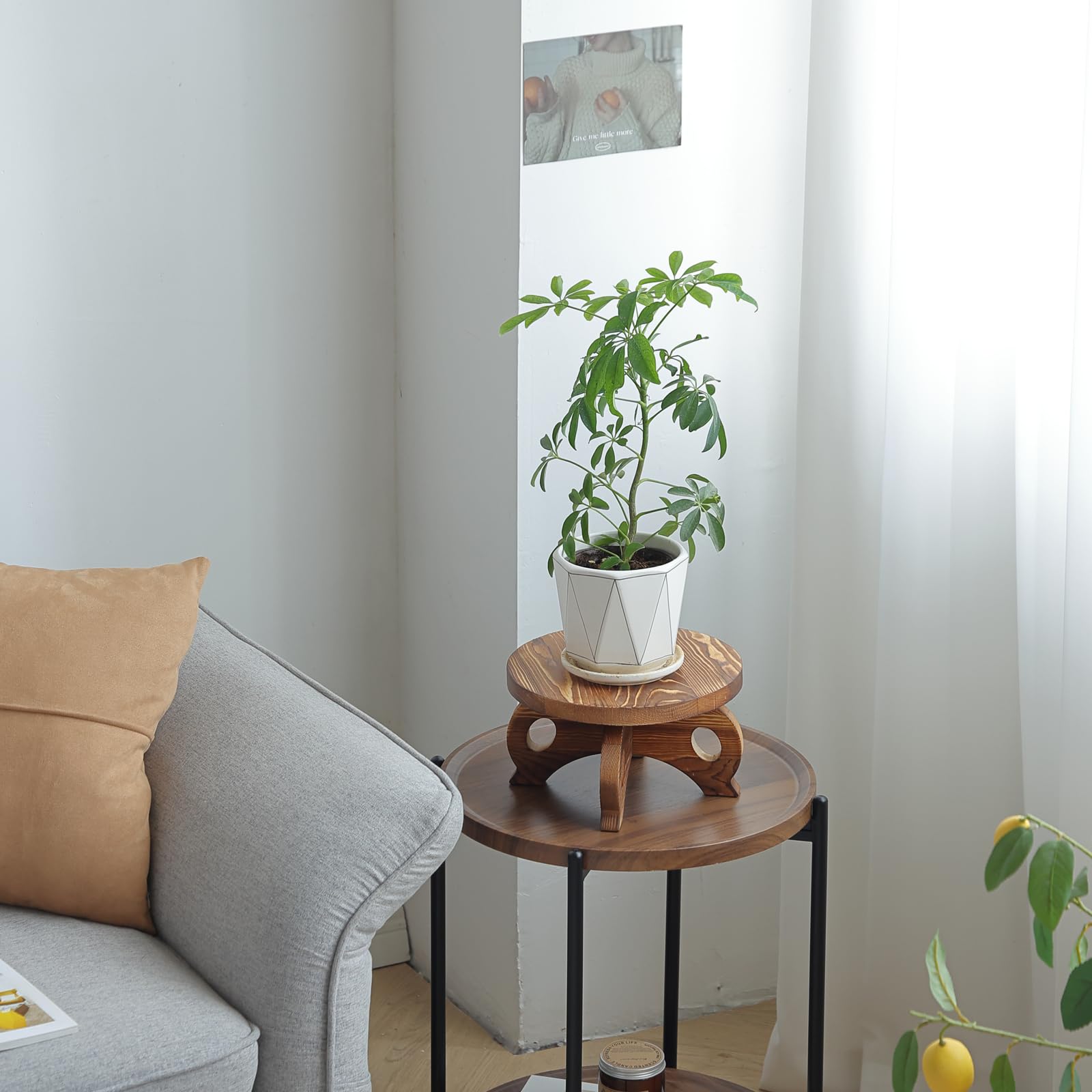 VZODESR Easy Assembly instructions for quick setup of indoor planter display